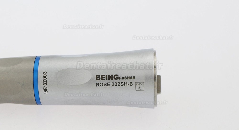 Being® Rose 202PB-SH pièce à main droite dentaire avec lumière spray interne